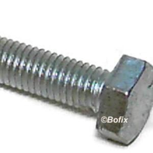 BOUT ZESKANTE KOP M10x30 mm (P.12)