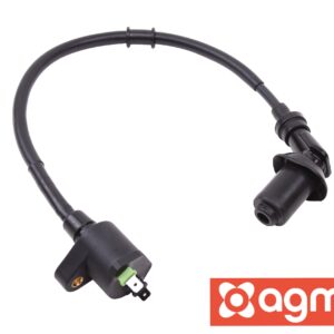 Bobine incl. Bougiedop OEM | AGM